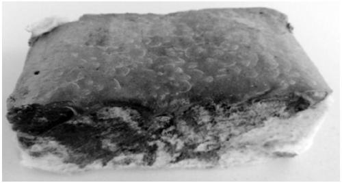 Thermal protection organic coating and preparing method thereof