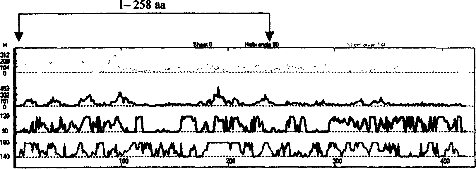 SARS virus S protein and N protein fusion protein, and preparation and use thereof