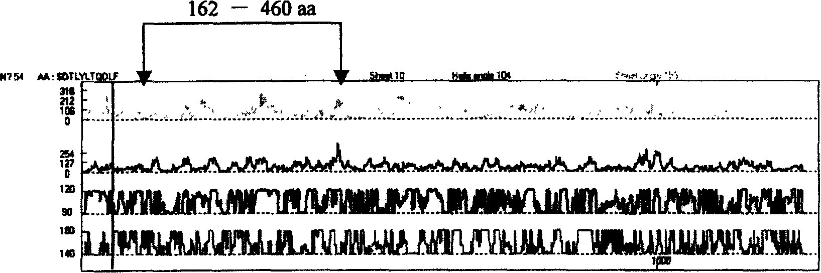 SARS virus S protein and N protein fusion protein, and preparation and use thereof