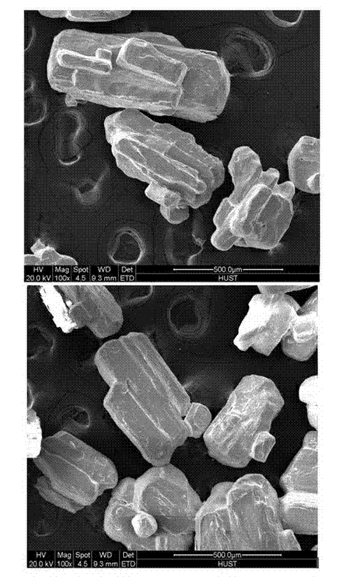 Method for preparing high-purity lead acetate and nanometer lead powder from waste lead paste