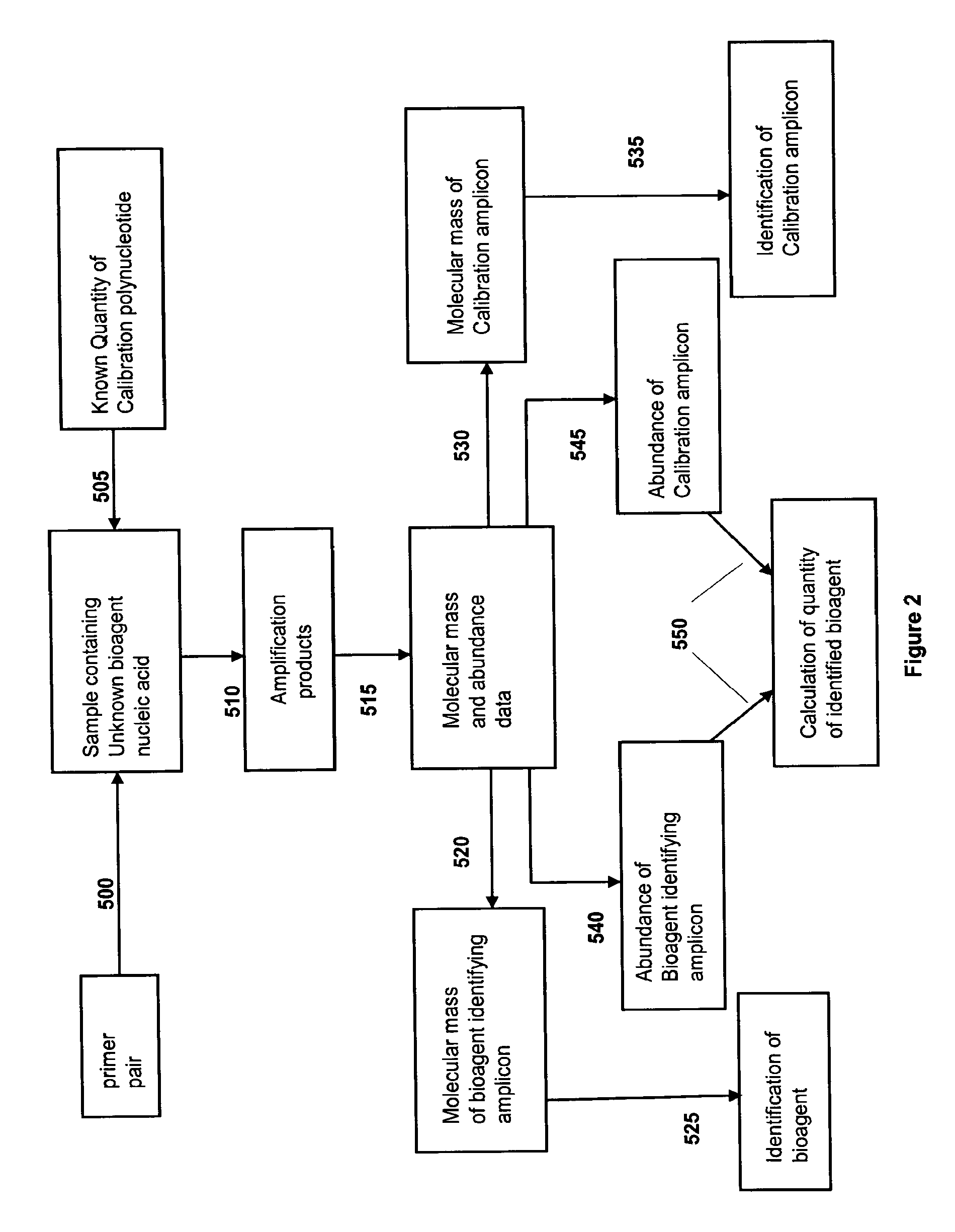 Compositions for use in identification of adenoviruses