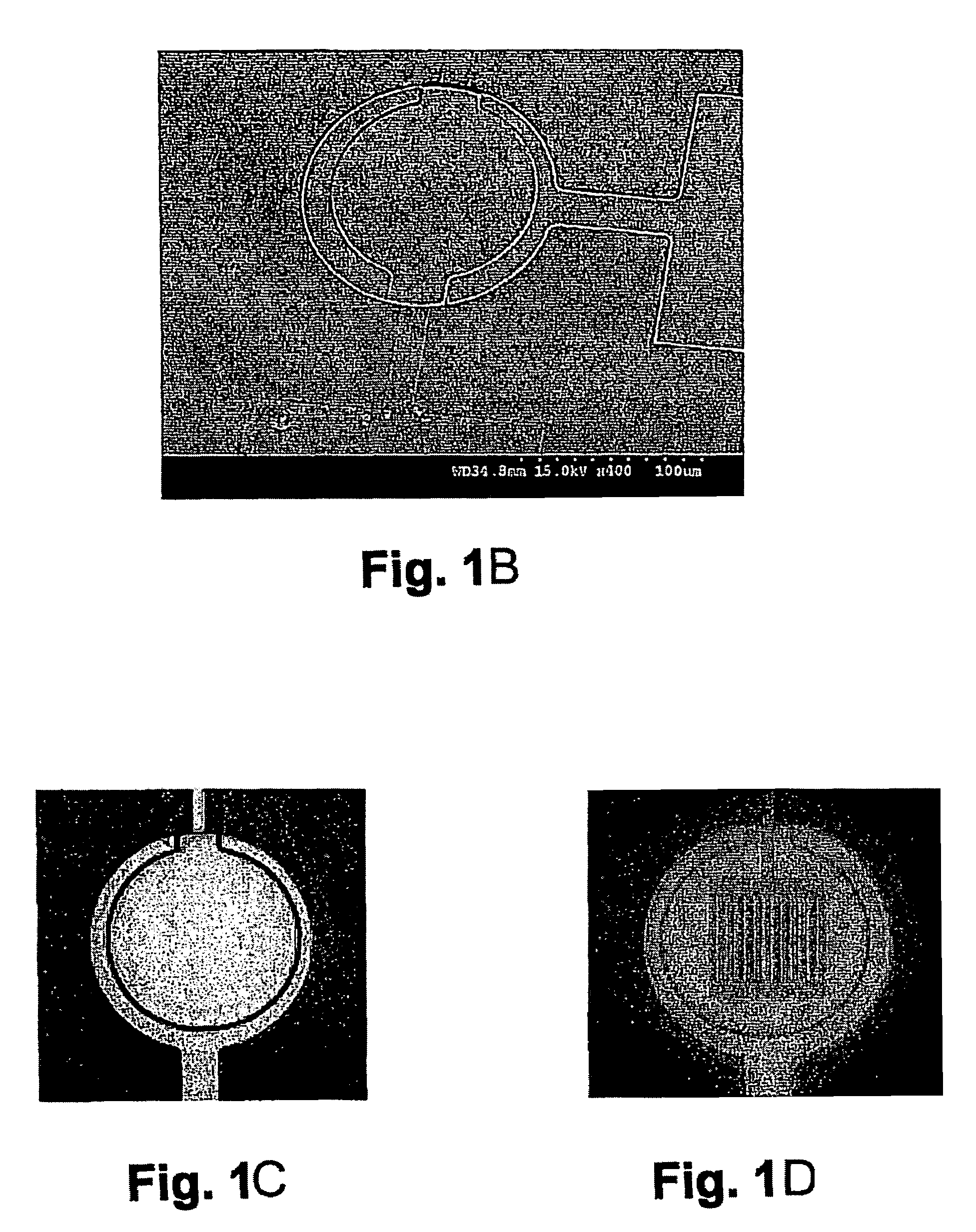 Integrated displacement sensors for probe microscopy and force spectroscopy