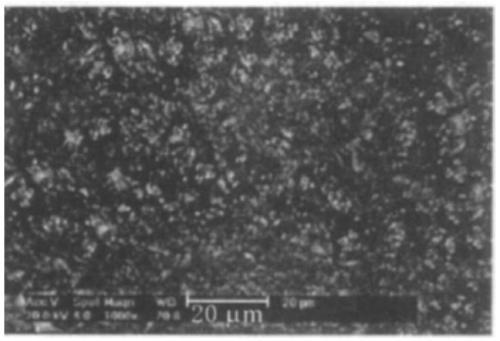 Polyurea-based elastomer material for concrete protection and anti-seepage of hydraulic structures