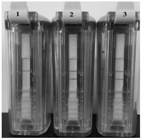 RPA-LED visualized reagent kit for detecting porcine epidemic diarrhea viruses