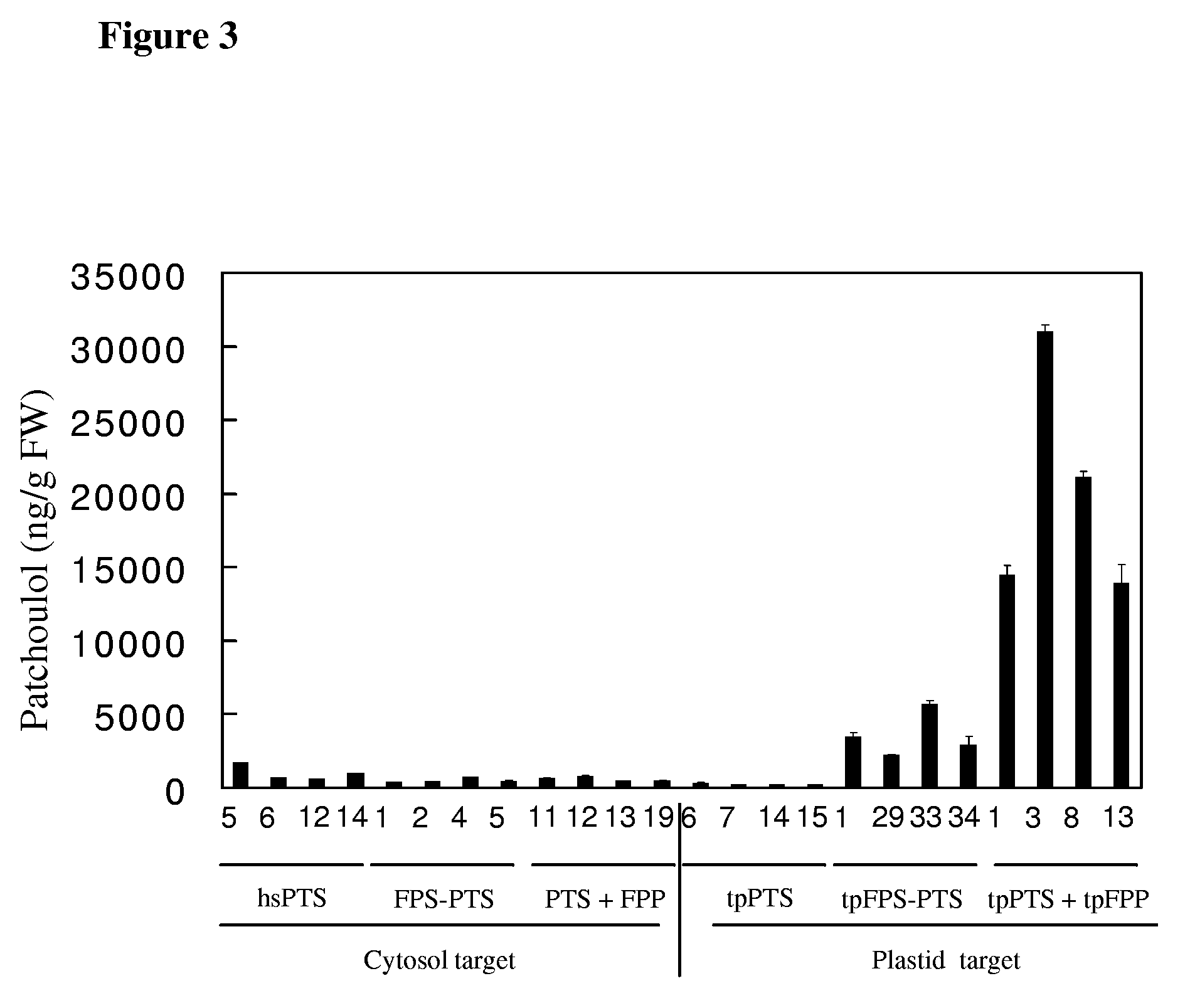 Transformed plants accumulating terpenes