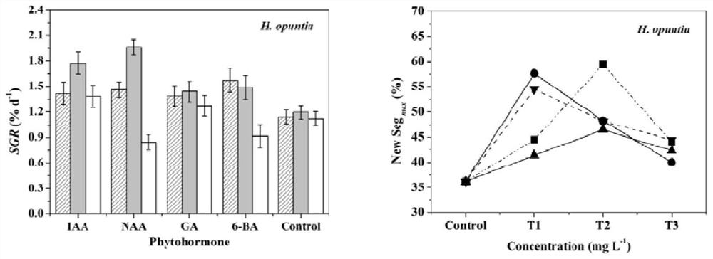 Application of Phytohormones in Promoting Growth Rate, Calcification and Photosynthesis of Macroalgae