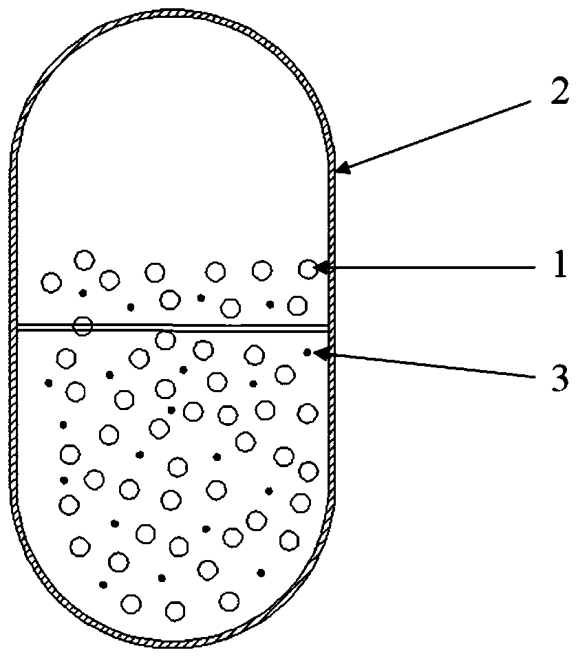 Intestinal developing agent and preparation method thereof