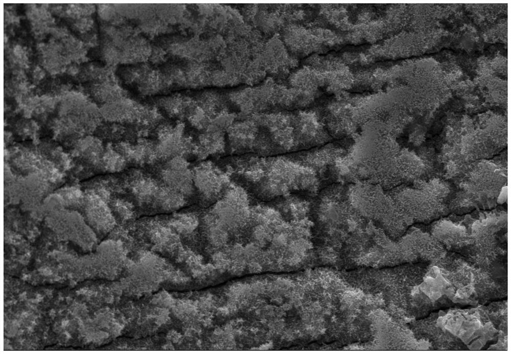 Floatable FeS-lignin hydrogel nano composite material, preparation method and application thereof