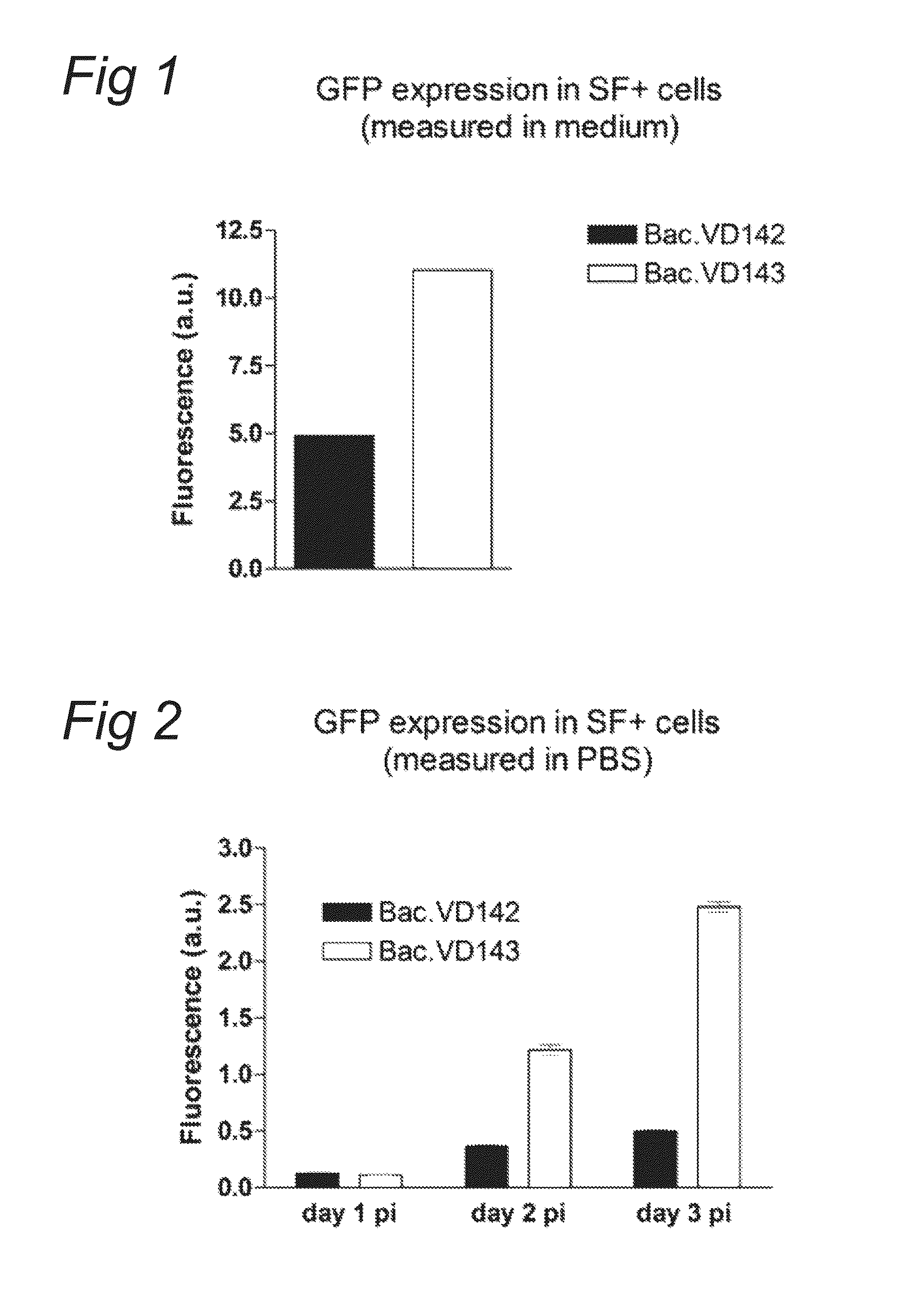 Use of AAV replication machinery for improved protein production