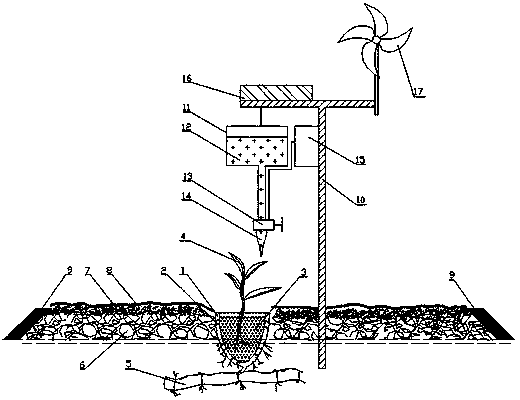 Method for cultivating tea on bamboo points