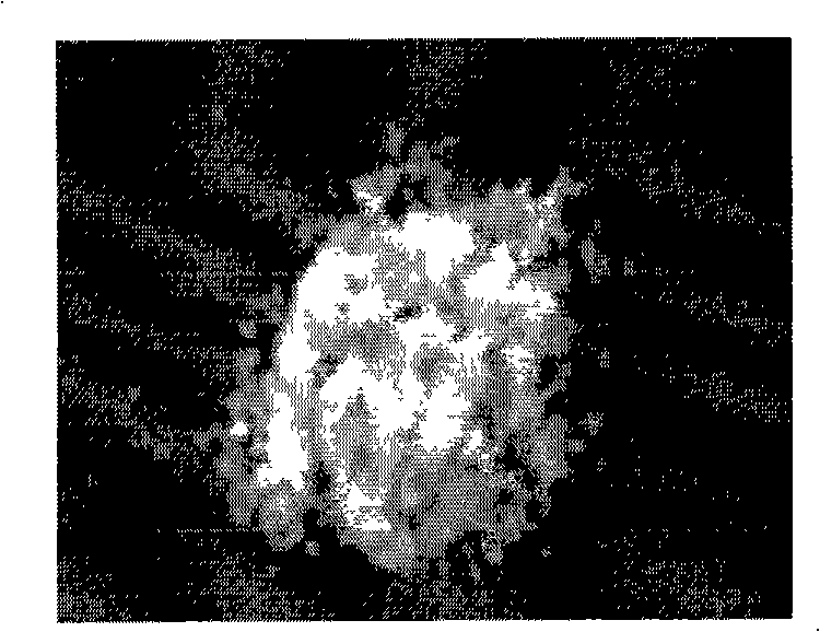 Solid-oxide fuel battery cathode powder preparation method