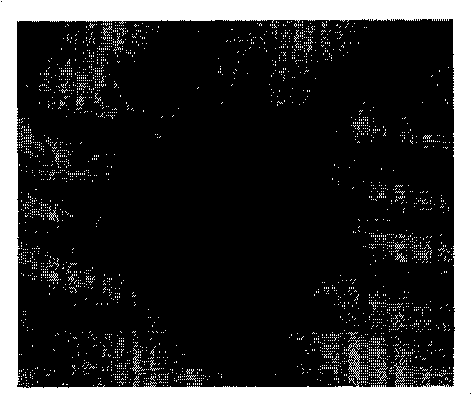 Solid-oxide fuel battery cathode powder preparation method