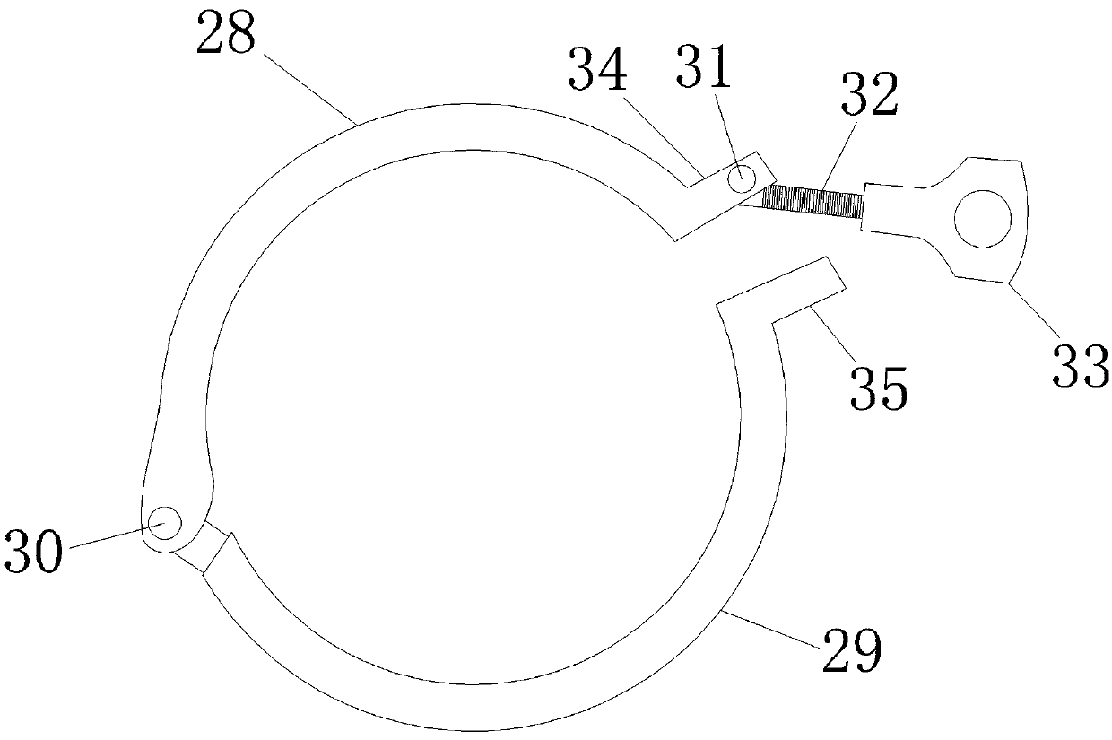 Volume and weight measuring device and method for vegetables and fruits in irregular shapes