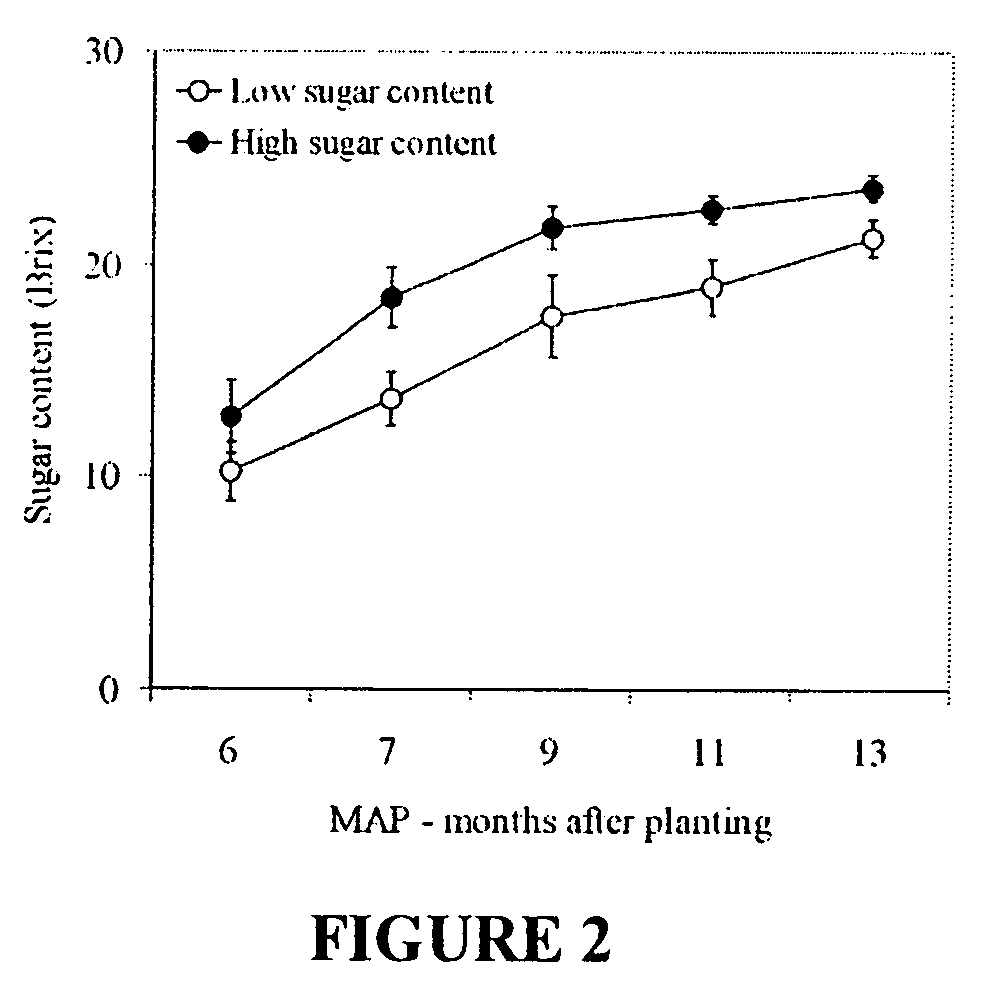 Genes associated to sucrose content