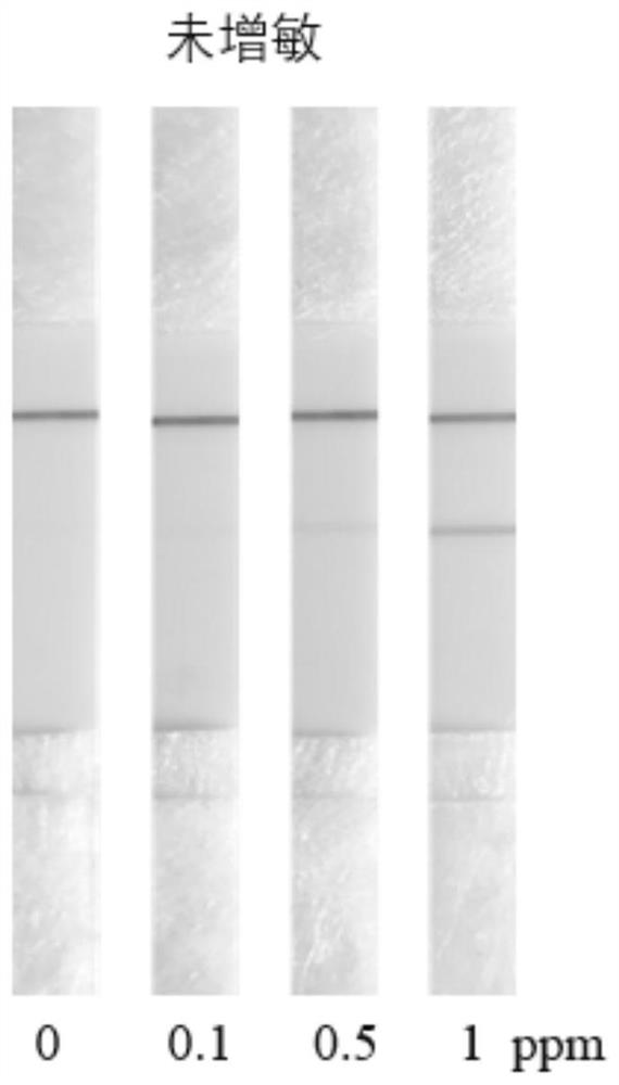 Hepatocyte growth factor detection and signal sensitization probe, primer pair and application thereof