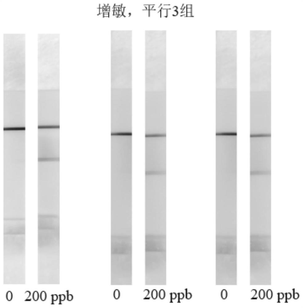 Hepatocyte growth factor detection and signal sensitization probe, primer pair and application thereof