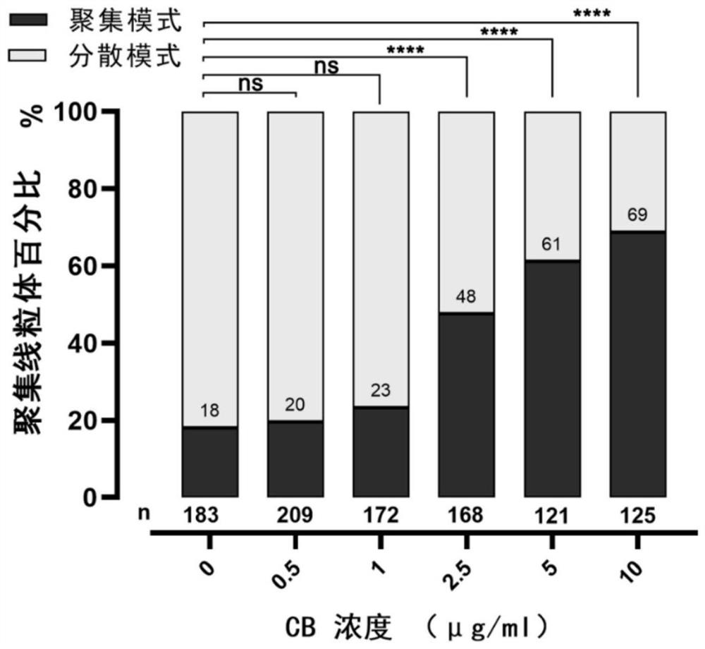 Improved micromanipulation liquid for mitochondrial replacement technology and preparation method of improved micromanipulation liquid