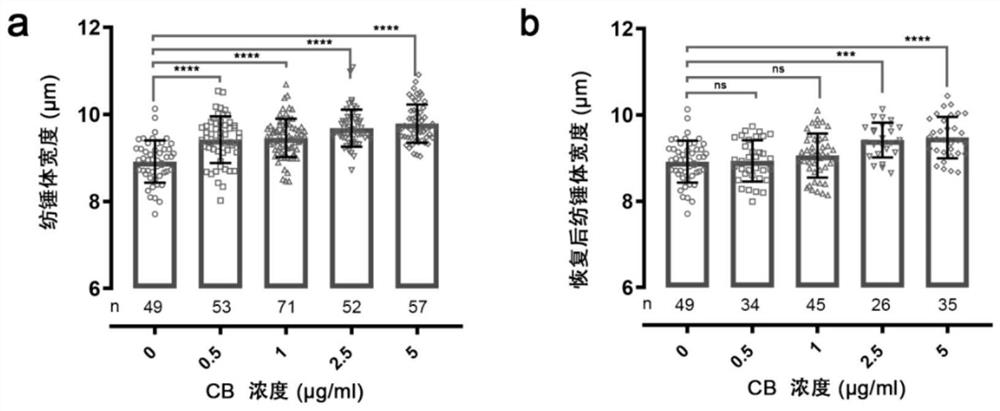 Improved micromanipulation liquid for mitochondrial replacement technology and preparation method of improved micromanipulation liquid