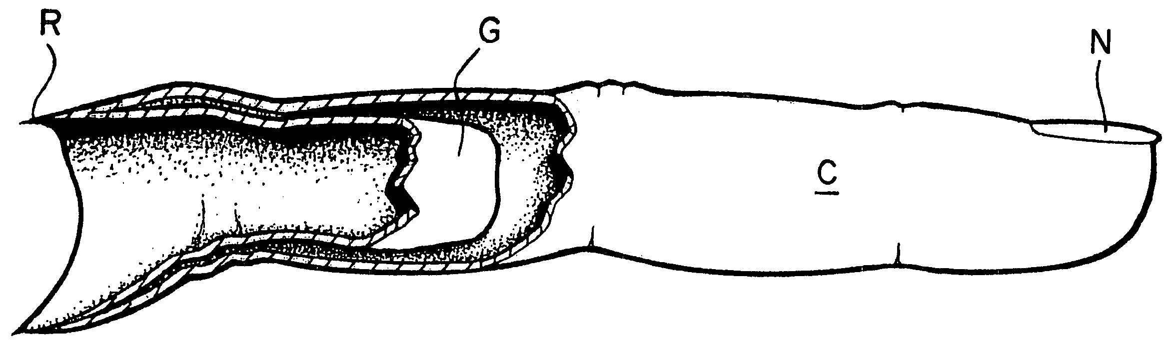 Articulated artificial finger assembly