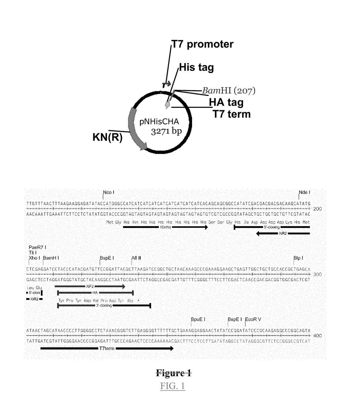 Methods for making arrays for high throughput proteomics