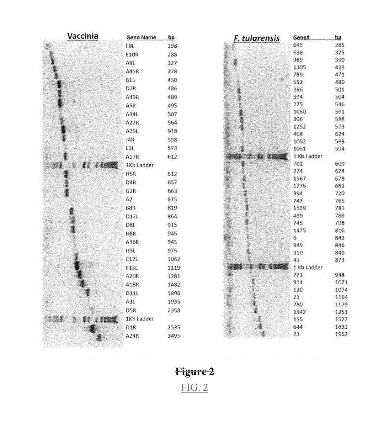 Methods for making arrays for high throughput proteomics