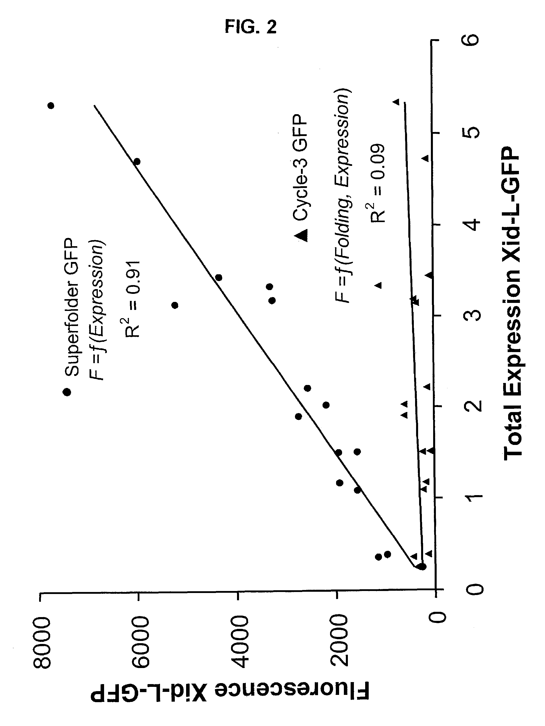 Directed evolution methods for improving polypeptide folding and solubility and superfolder fluorescent proteins generated thereby