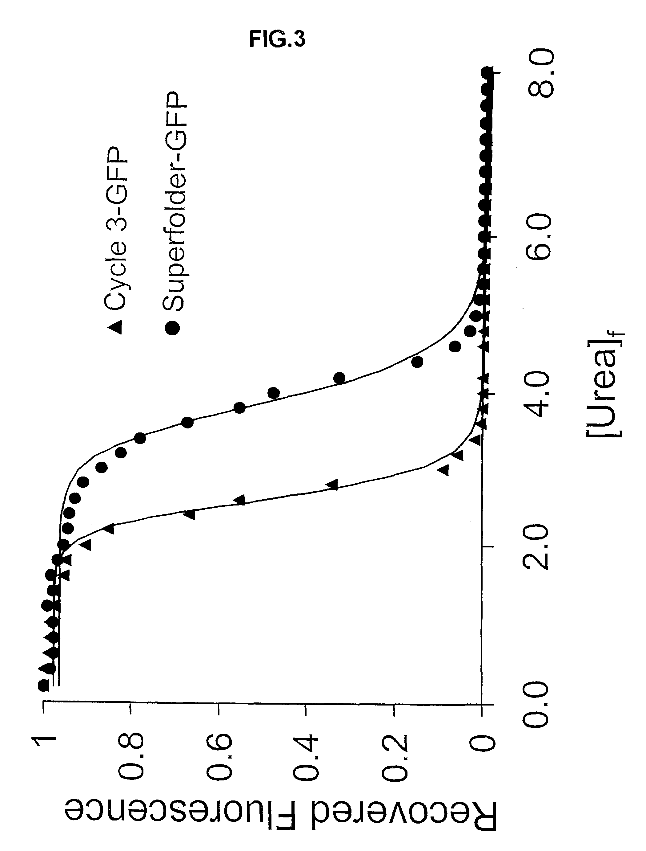 Directed evolution methods for improving polypeptide folding and solubility and superfolder fluorescent proteins generated thereby