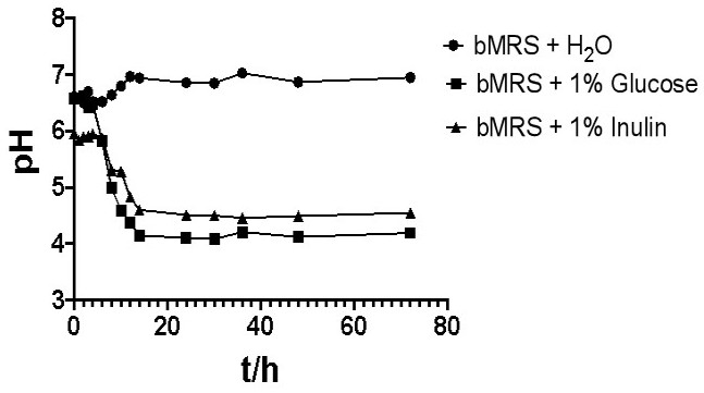 Lactobacillus paracasei YT170 and application thereof