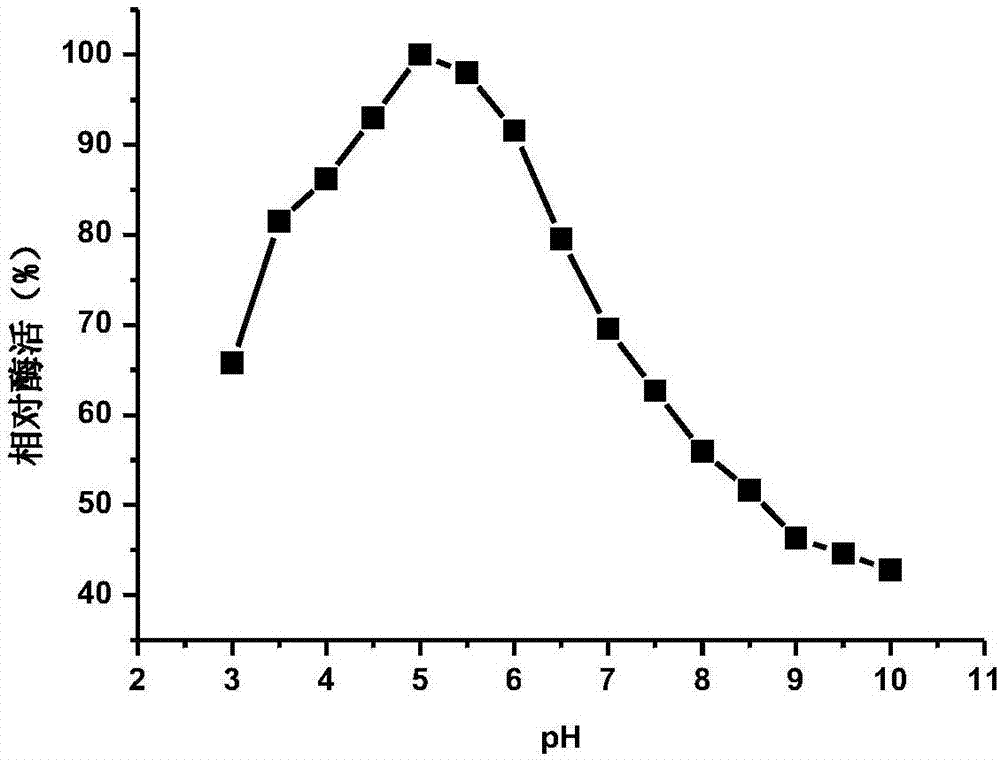 Beta-glucosidase, preparation method and application thereof