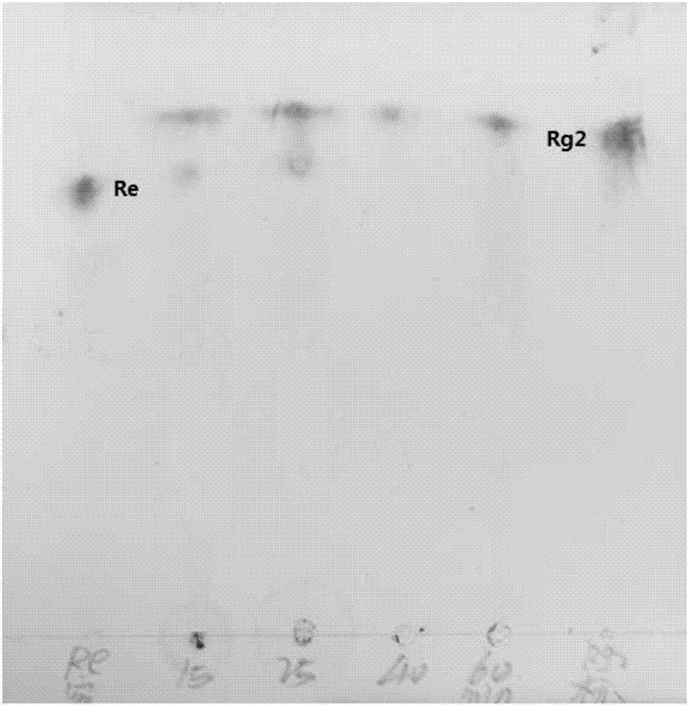 Beta-glucosidase, preparation method and application thereof