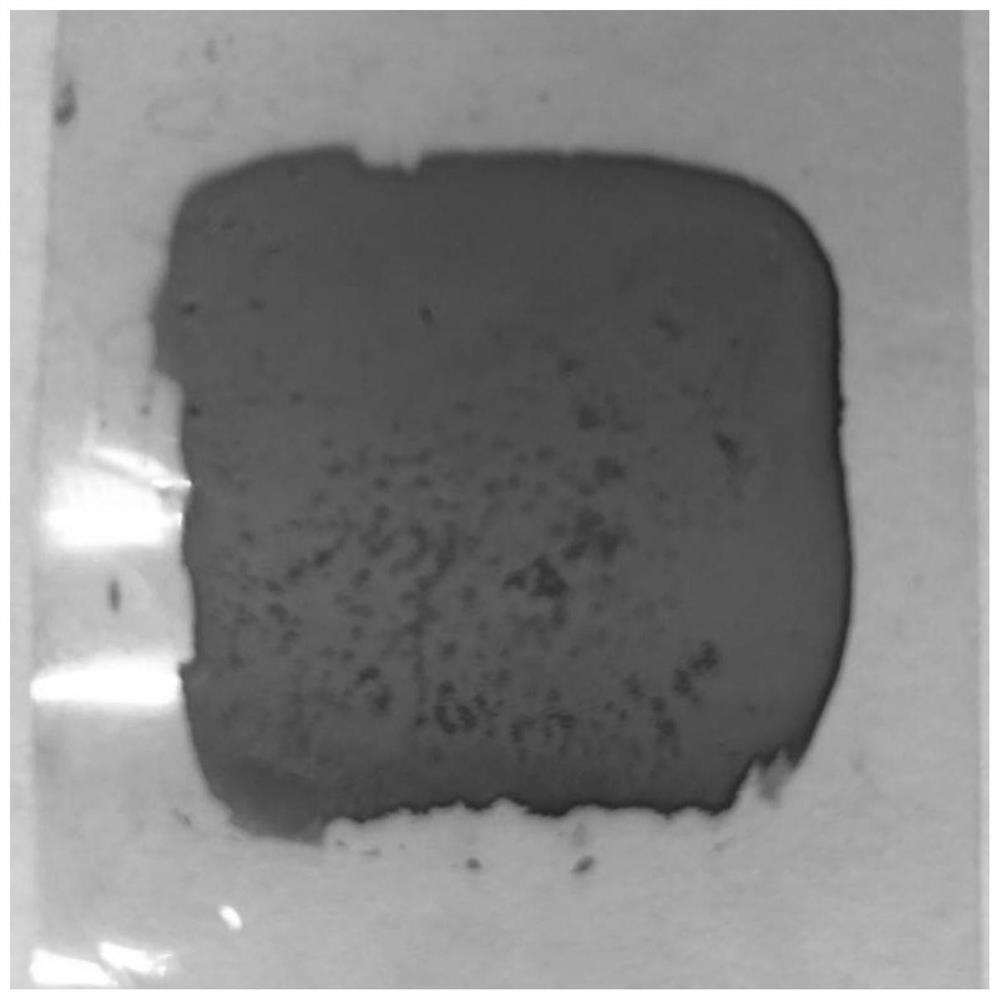 Synthesis method of silver nanowire ink and preparation method of flexible conductive film