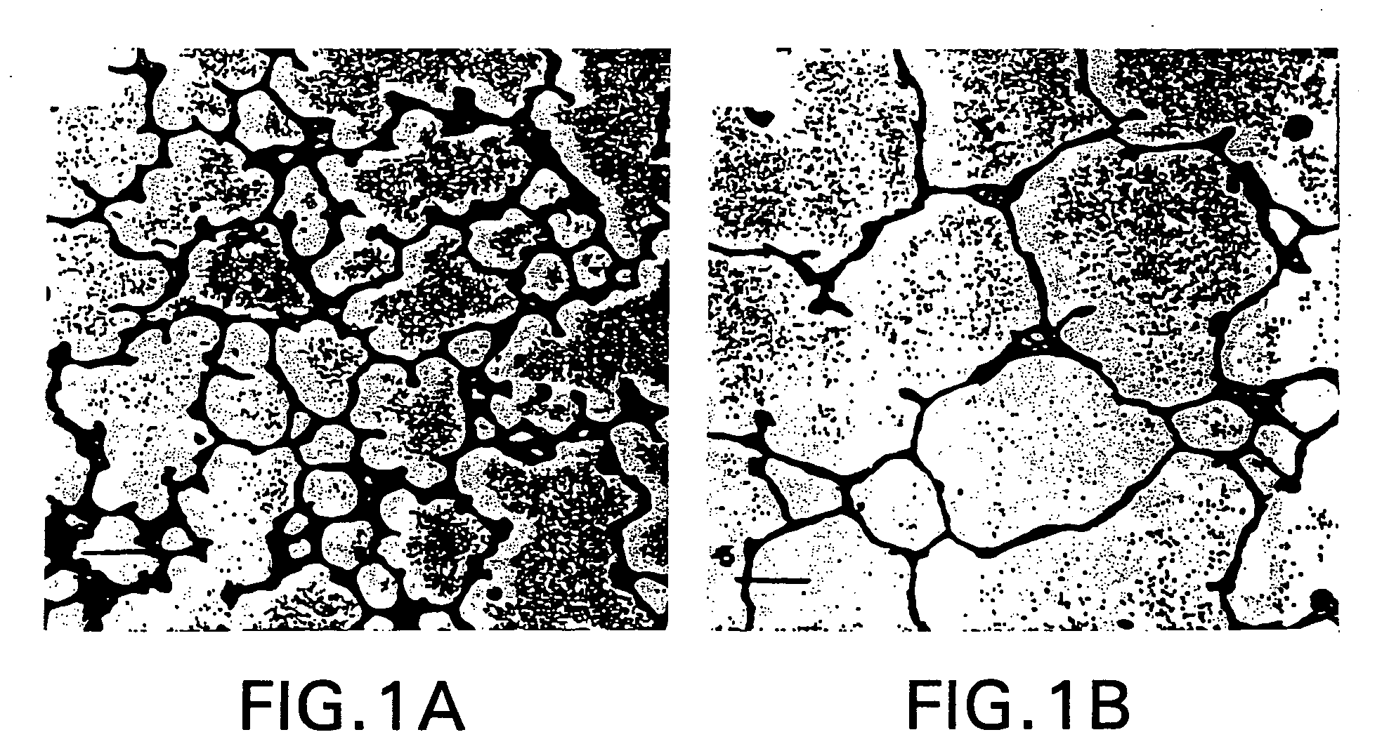 Methods and compositions for the treatment and prevention of lung disease