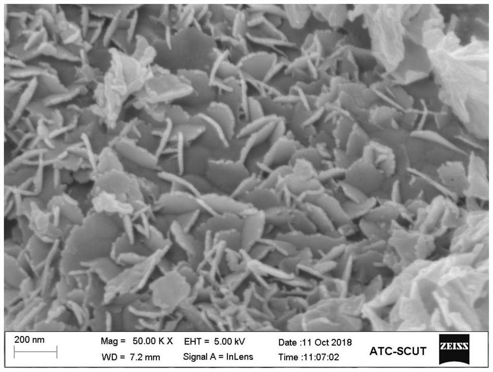 A kind of bizn hydrotalcite photocatalyst and its preparation method and application