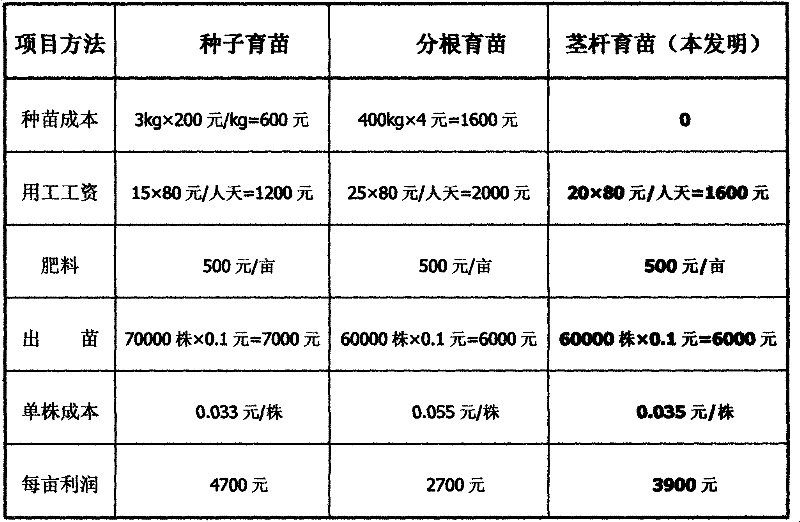 Radices ligustici sinensis seedling method