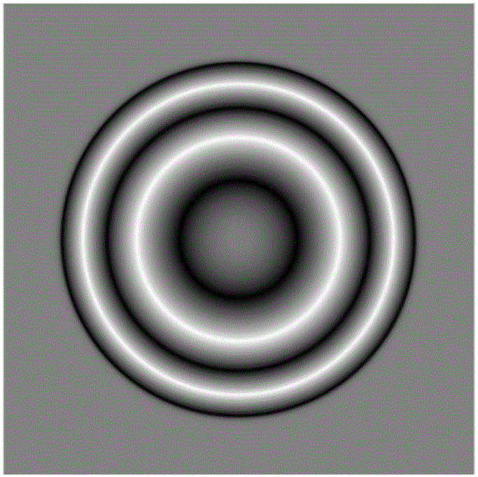 Two-dimensional coding device and method for spin angular momentum of light field