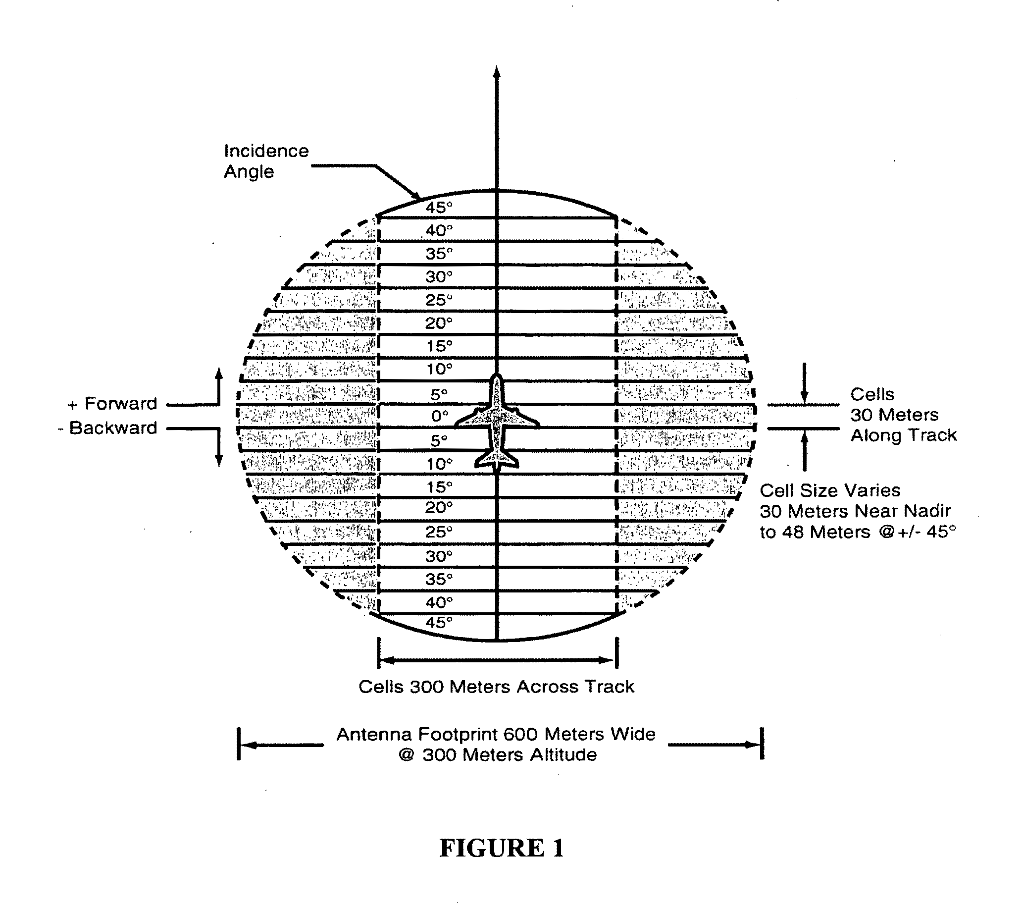 System, Method, and Apparatus for Remote Measurement of Terrestrial Biomass