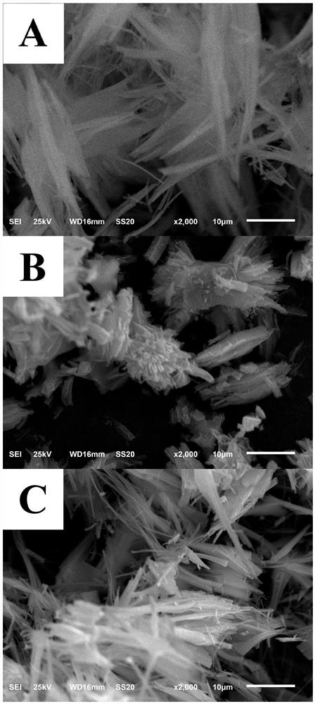 Preparation method and application of a self-cleaning electrochemical sensor under visible light