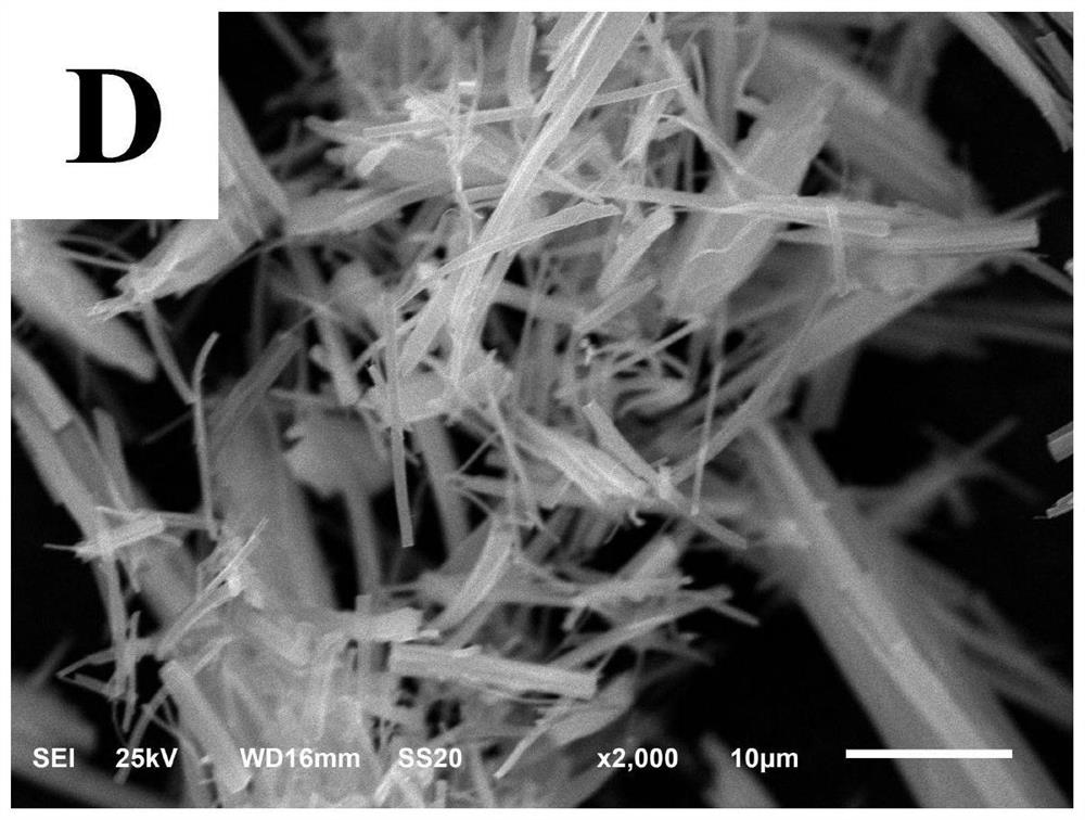 Preparation method and application of a self-cleaning electrochemical sensor under visible light