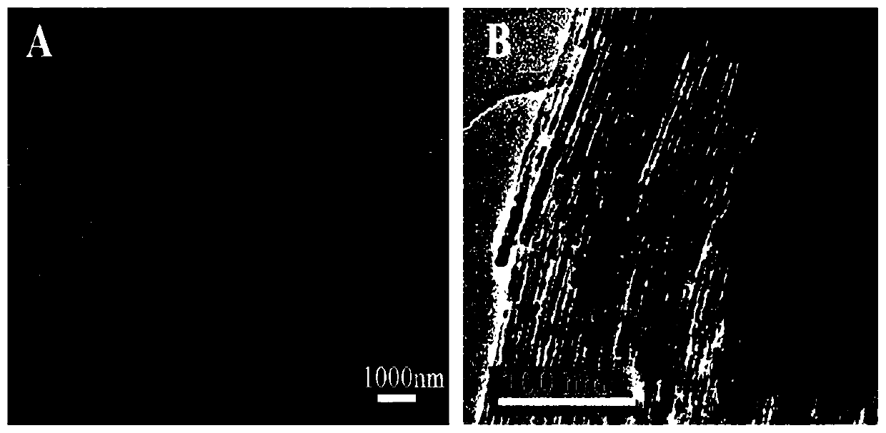 Double signal amplified zearalenone impedance sensor based on nano-Co3O4 mimic enzyme catalysis action