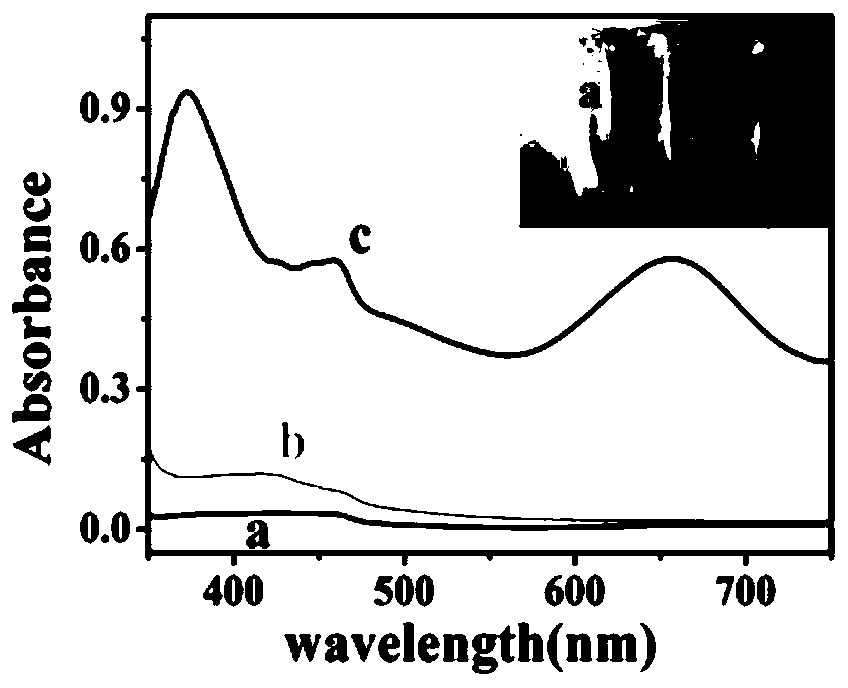 Double signal amplified zearalenone impedance sensor based on nano-Co3O4 mimic enzyme catalysis action