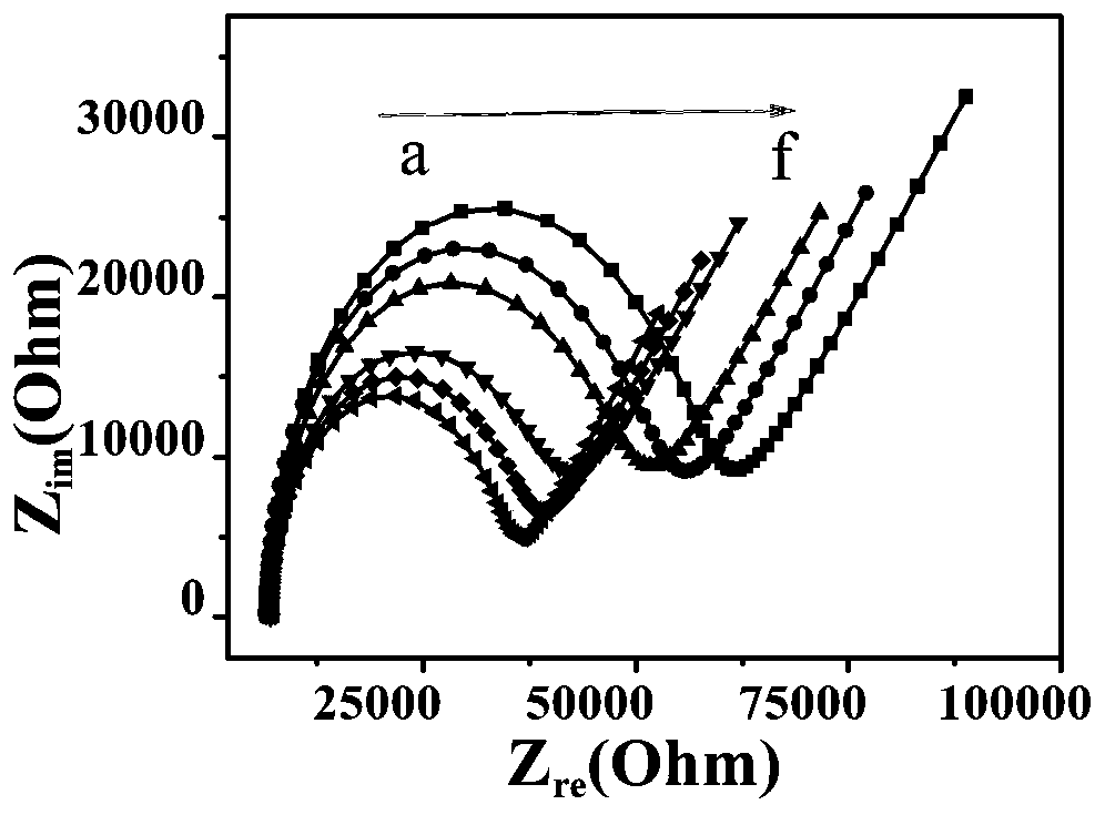 Double signal amplified zearalenone impedance sensor based on nano-Co3O4 mimic enzyme catalysis action