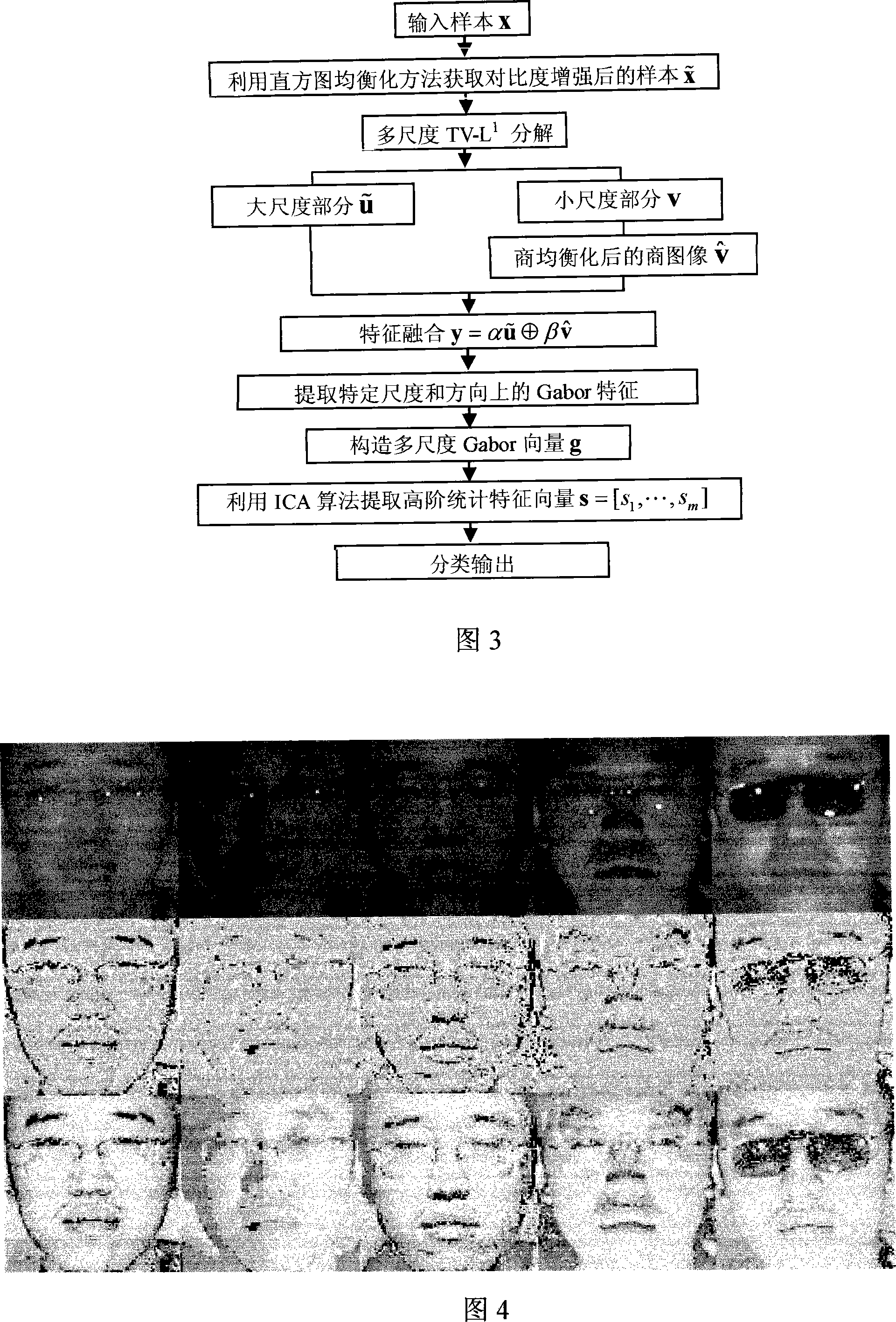 Independent component analysis human face recognition method based on multi- scale total variation based quotient image