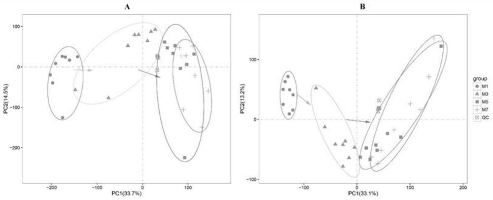 Chilled meat freshness markers and their screening and prediction model fitting methods and uses