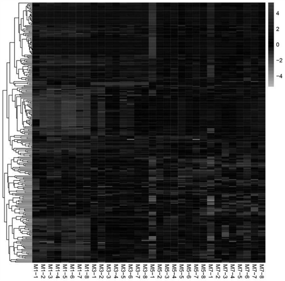 Chilled meat freshness markers and their screening and prediction model fitting methods and uses