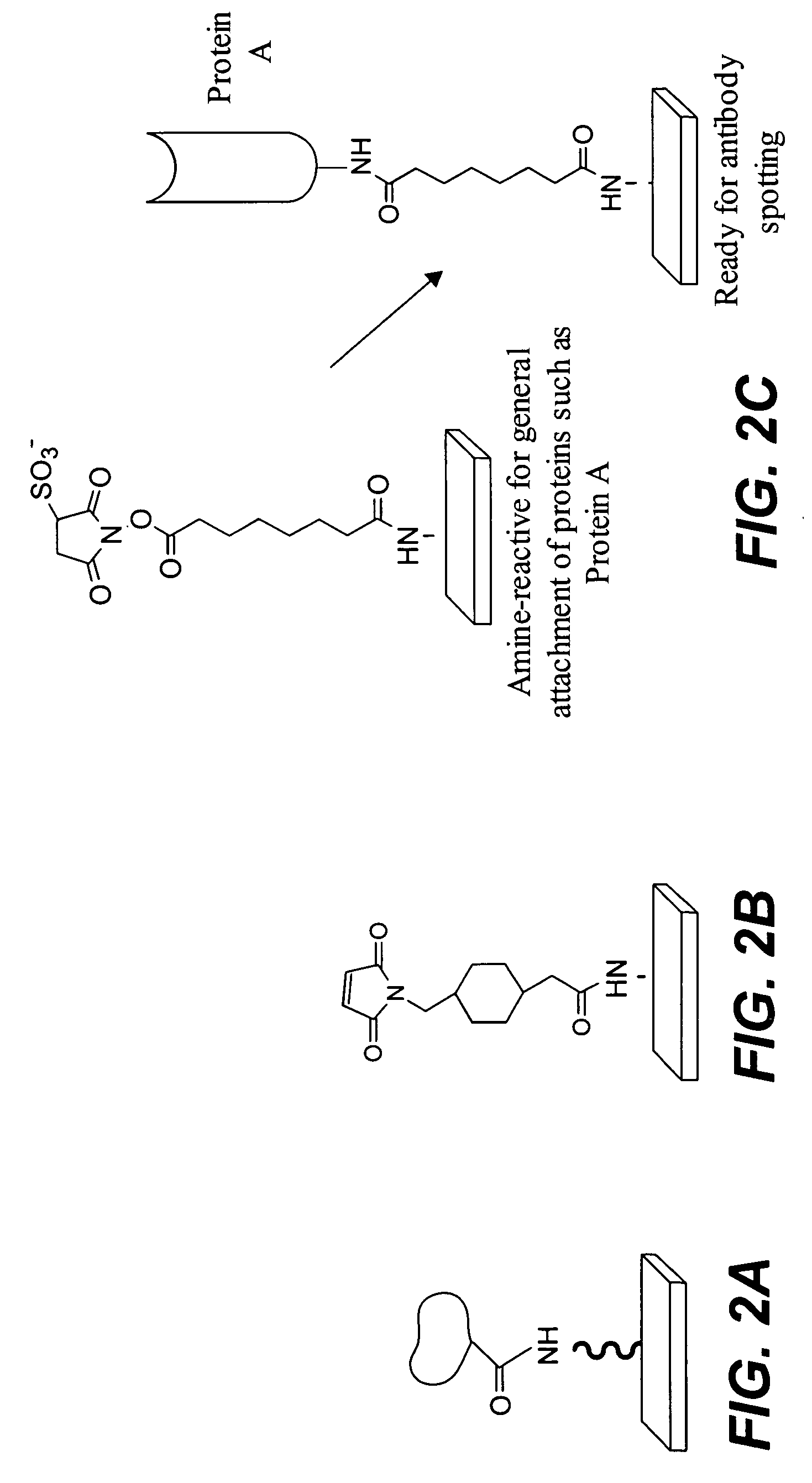 Protein microarrays on mirrored surfaces for performing proteomic analyses