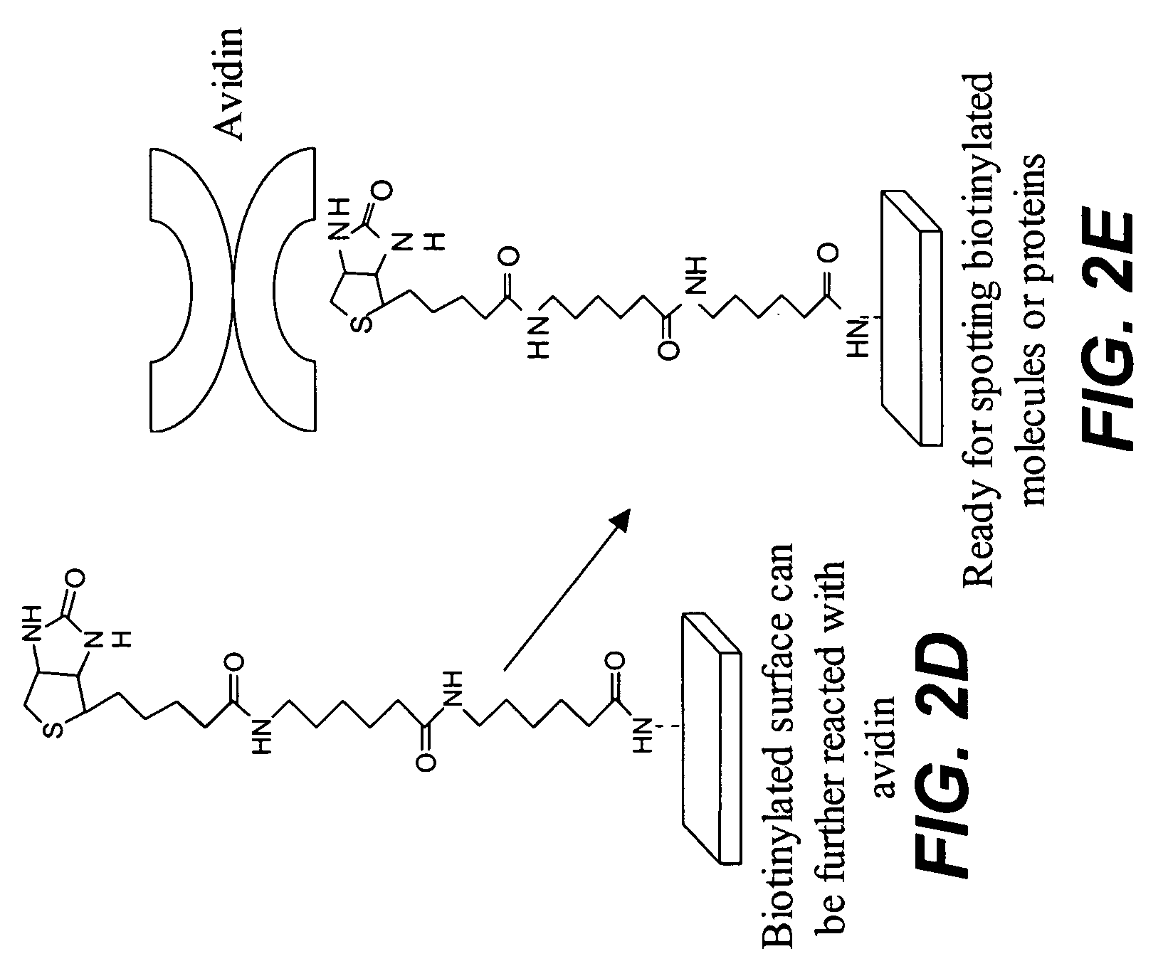 Protein microarrays on mirrored surfaces for performing proteomic analyses