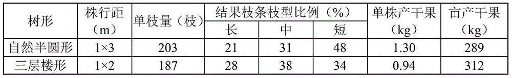 A kind of T-shaped wolfberry tree and its cultivation and pruning method