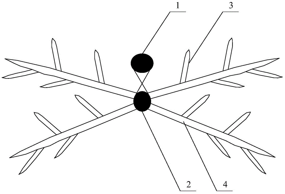 A kind of T-shaped wolfberry tree and its cultivation and pruning method