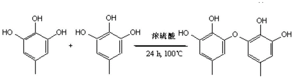 Amino-modified persimmon tannin adsorbent and its preparation method and application