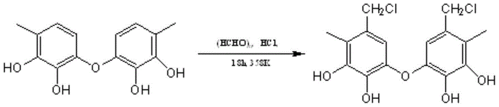 Amino-modified persimmon tannin adsorbent and its preparation method and application